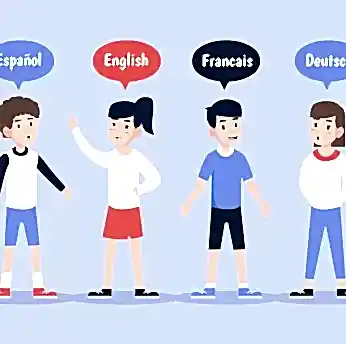 2. Yabancı Dil (Almanca / Fransızca / Rusça)