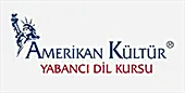 Amerikan Kültür